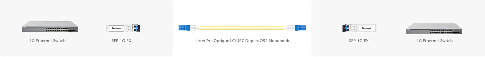 1G EX solution de connectivité