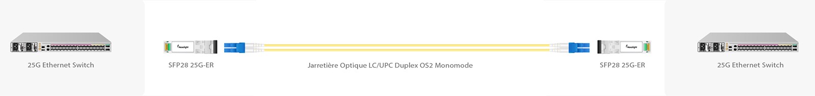25G ER solution de connectivité